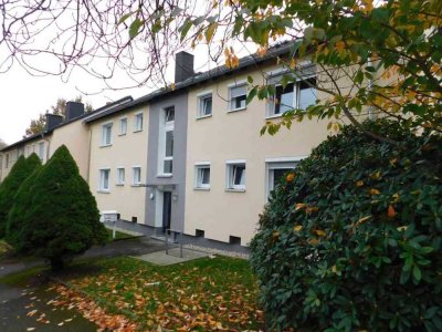 Hallo, Single: Renovierte Wohnung mit Terrasse und Dusche in grüner, ruhiger Umgebung