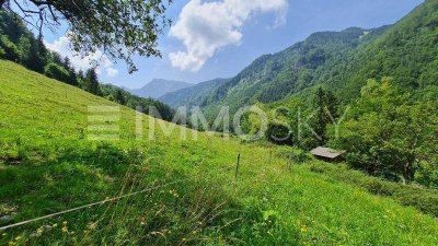 Lage! Lage! Lage! Berge, Wälder, Wiesen zum genießen!