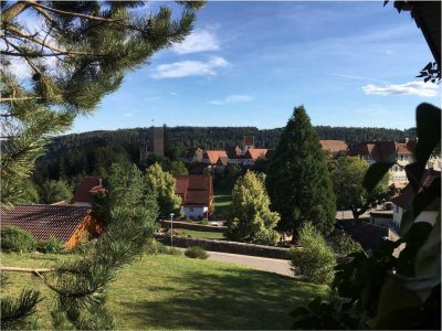 Wunderschönes Haus mit Burgruinenblick