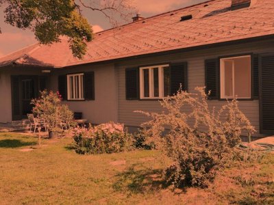 Sonnendurchfluteter , komplett renovierter Bungalow mit romantischem Garten in Strasshof