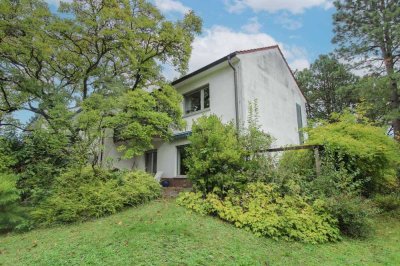 Reihenendhaus mit eigenem, großem Garten in Offenbach am Main (Buchhügel)