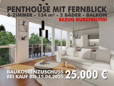 PENTHOUSE MIT GROSSEM BALKON - 6-ZKB