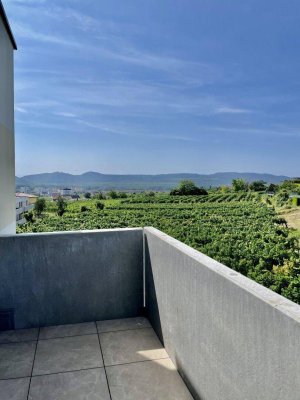 Neubau Erstbezug Ruhige Drei Zimmer Wohnung mit Balkon und traumhaften Ausblick