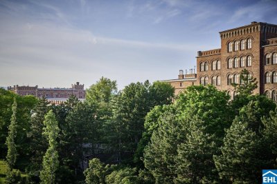 Der Himmel zum Greifen nah: Dachgeschoss-Maisonette mit Terrasse