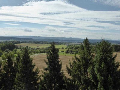 Schöne Drei-Zimmer Wohnung mit tollem Ausblick