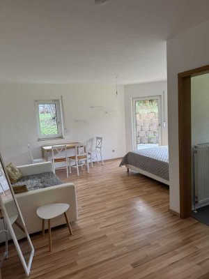 Appartement mit EBK und Terrasse: attraktive 1-Zimmer-Wohnung in Alzey