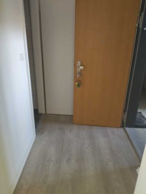 Neu renovierte 1-Raum-Wohnung in zentraler Lage WE 02)