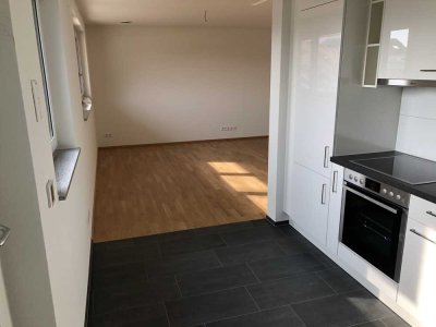 Stilvolle, geräumige 1-Zimmer-Wohnung mit Küche in Freiburg im Breisgau