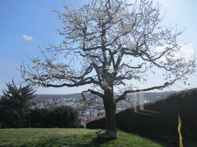 in herrlicher Aussichtslage - sonnige Erdgeschosswohnung mit EBK und Terrasse