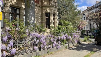 Stilvolle, imposante Villa in Ruhiglage des Musikerviertels