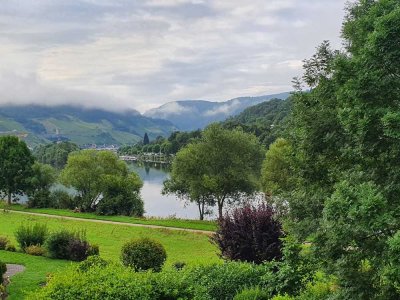 Helle, renovierte 2,5 ZKDB mit tollem Moselblick, Stellplatz, Gartenmitbenutzung