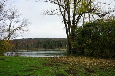 RARITÄT! Gemütliche Erdgeschosswohnung mit Gartenanteil  und  Lechblick!