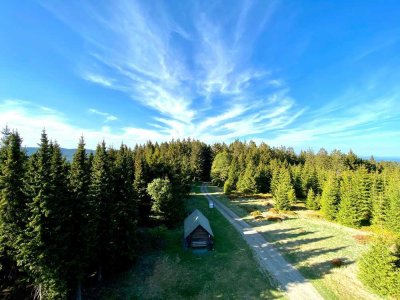 Natur und Ruhe in Winterberg