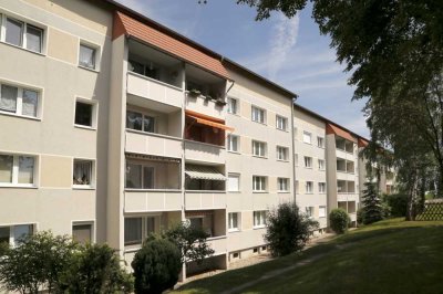 Wohnung mit Blick auf den Geiseltalsee!