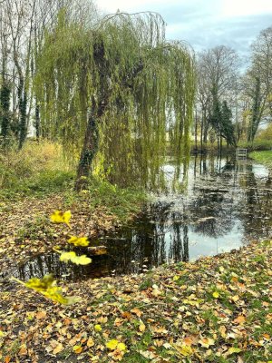 3-Zimmer-Wohnung in naturnaher Lage