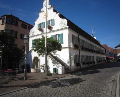 Außergewöhnlich Wohnung im Herzen von Aichach!