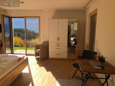 Garconniere Wohnung 1 Zimmer mit traumhaften Bergblick