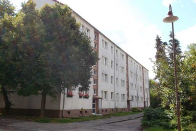 Familienwohnen- kautionsfrei- H.-Heine Straße 41 Naumburg (Saale)