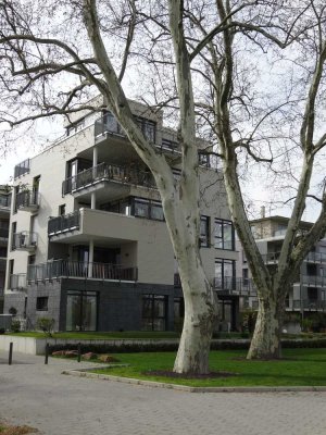 1.Lage...große Etagenwohnung mit Rheinblick im Stadteil Rheinufer Süd