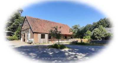 Familiäre Reitanlage in Mainhardter Wald-Idylle