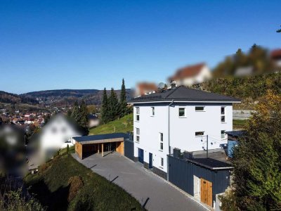 Frisch renoviertes Traumhaus mit vielen Extras - einziehen und wohlfühlen