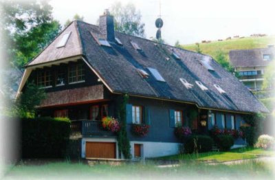 Erstbezug nach Sanierung Garten Terrasse  und EBK: Exklusive 2-Zimmer-Wohnung in Hinterzarten