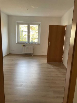 Renovierte 2 Zimmer Wohnung - Tichatscheckstraße 40c, 01139 Dresden