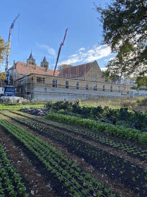 Zweizimmer-Wohnung in gemeinschaftlichem Wohnprojekt "In den Klostergärten" in Ilbenstadt