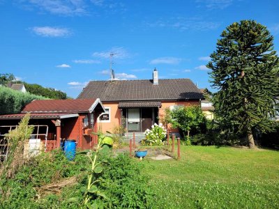 MANNELLA *Mehr Platz als man denkt* Bungalow mit Wintergarten, Keller & Garage in Wolsdorf