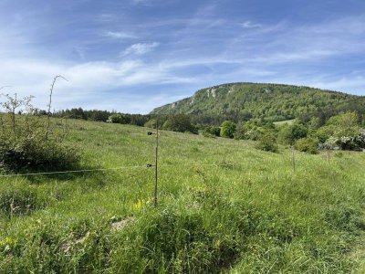 Wohnen im Wanderparadies- Günstige Zwei-Dreizimmerwohnung