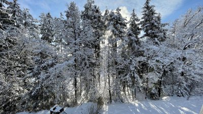 Maisonettewohnung in herrlicher Ruhelage mitten im Wald