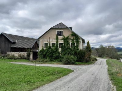 Großzügige, günstige Wohnung (169m2) in altem Bauernhaus mit 150 m² Gartenfläche ab April 2025