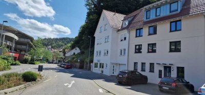 Geräumiges, günstiges 21-Raum-Mehrfamilienhaus mit gehobener Innenausstattung in Calw