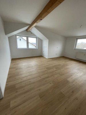 Renovierte 3-Zimmer-Wohnung mit 1 Aussenstellplatz und Einbauküche !