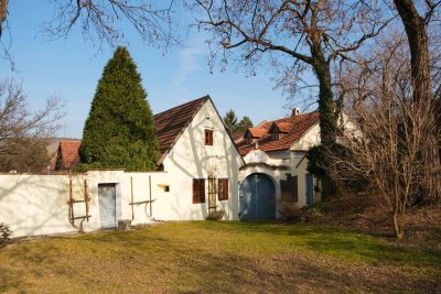 HIER LÄSST SICH`S LEBEN ! - EHEMALIGE MÜHLE IN LANGENLOIS