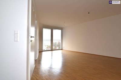 Wohlfühlwohnung für Pärchen oder Singles mit einem sehr schönen Badezimmer und einem Balkon - in 8020 Graz ab sofort zu mieten!!! - PROVISIONSFREI!