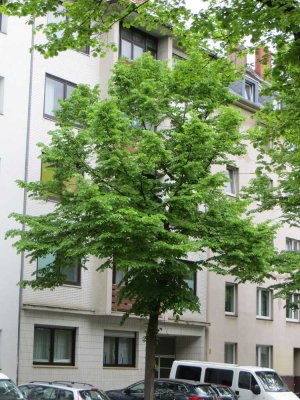 1-Zimmer-Hochparterre-Wohnung mit EBK und Balkon in Düsseldorf Bilk