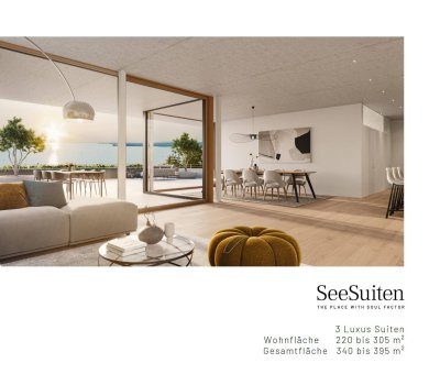 Penthouse "SeeSuite KONSTANZ" in Terrassenvilla m. idyllischem Panorama ü. Bodensee u. Bregenz; Lage 500m Luftlinie ins Stadtzentrum v. Bregenz