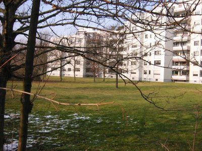 Schöne 1-Raum-Wohnung mit Balkon und Duschbad in Neuhofen