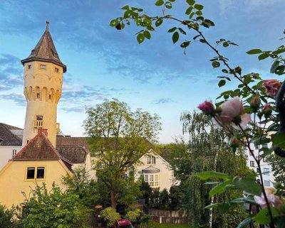 +++ KLEINES NEST MIT GROSSEM AUSBLICK +++