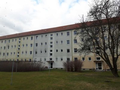 große Familienwohnung mit Aussicht sucht Bewohner