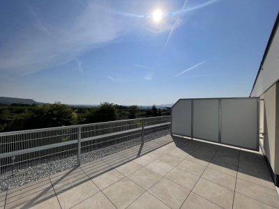 Danube Hills Perfekte Singlewohnung mit großer Terrasse