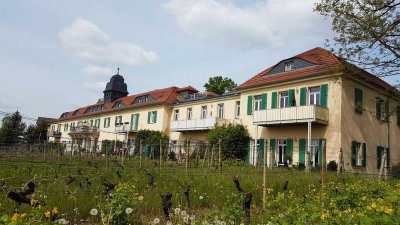 Radebeul - wunderschöne 2-Zi-Wohnung mit Einbauküche, großer Terrasse, Carport