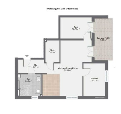 Seniorengerechte 3-Zimmer-Neubau-Erdgeschosswohnung in Meckesheim