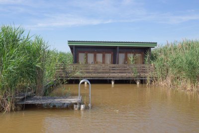 Flachdach-Seehütte in ruhiger Lage der Ruster Südbucht