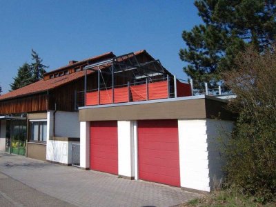 Haus im Haus: riesige, ausgefallene, lichtdurchflutete Wohnung m. herrl. Terrasse, Loggia u. Garage!