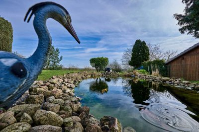 Einladendes Einfamilienhaus mit Koikarpfen-Naturteich und unverbauten Weitblick