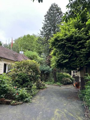 Zentral in Wuppertal wohnen mit gemütlichem Innenhof