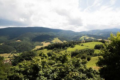 ... ca. 80.000 qm Wiese und Wald ! ... für Naturliebhaber, Alleinlage in den Vogesen