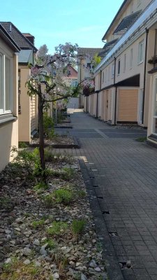 Außergewöhnliche Maisonettewohnung mit Wintergarten Balkon und Dachterrasse